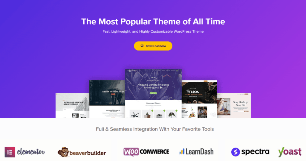 Top 6 Free & Fast WordPress Themes for Amazing Performance